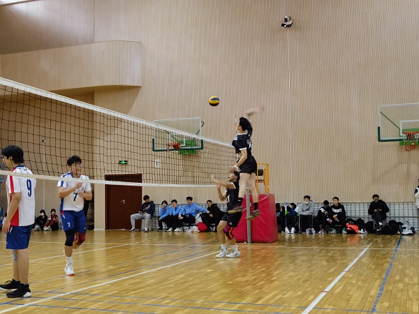 黑白体育稳定线路